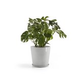 Ecopots Amsterdam 60 cm white grey - plant/flower pot_
