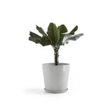 Ecopots Amsterdam 60 cm white grey - plant/flower pot_