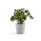 Ecopots Amsterdam 60 cm white grey - plant/flower pot_