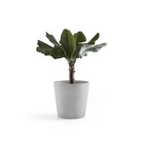 Ecopots Amsterdam 60 cm white grey - plant/flower pot_
