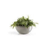 Ecopots Brussels 30 cm taupe - flower/planter box_