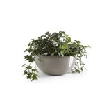 Ecopots Brussels 30 cm taupe - flower/planter box_