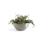 Ecopots Brussels 30 cm taupe - flower/planter box_