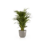 Ecopots Oslo 35 cm taupe - Pflanzer/Blumentopf_