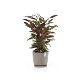 Ecopots Oslo 35 cm taupe - Pflanzer/Blumentopf_