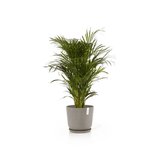 Ecopots Oslo 35 cm taupe - Pflanzer/Blumentopf_