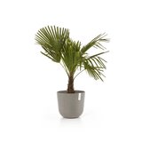 Ecopots Oslo 35 cm taupe - Pflanzer/Blumentopf_