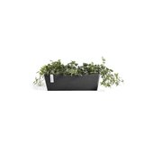 Ecopots Bruges 55 cm gris foncé - bac à fleurs/plantes_