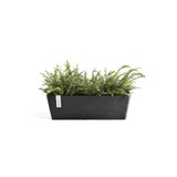 Ecopots Bruges 55 cm gris foncé - bac à fleurs/plantes_