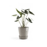 Soucoupe Ecopots avec roues 34 cm - taupe_