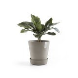 Soucoupe Ecopots avec roues 34 cm - taupe_