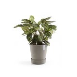 Soucoupe Ecopots avec roues 34 cm - taupe_