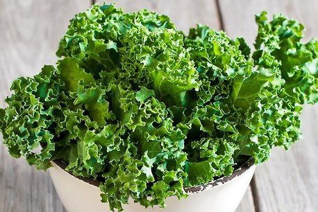 Boerenkool 'Westlandse Winter' – Brassica oleracea - Bio groentezaden Boerenkool 'Westlandse Winter' – Brassica oleracea - Bio groentezaden