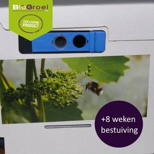 Hommelkast tot 700m² bestuiving Hommelkast tot 700m² bestuiving