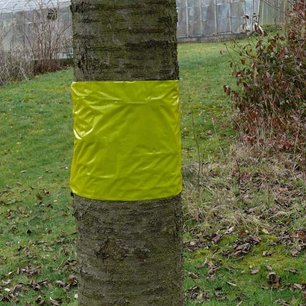 Gele lijmband | 5m x 30cm Gele lijmband | 5m x 30cm