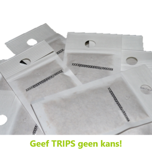 Kweekzakjes tegen trips | Trips preventief aanpakken Kweekzakjes tegen trips | Trips preventief aanpakken
