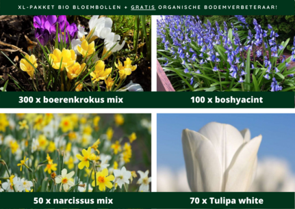 520 x Bloembollen MIX pakket ! - biologische bloembollen 520 x Bloembollen MIX pakket ! - biologische bloembollen