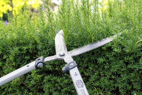 Professionele heggenschaar Felco 250-57 (57 cm)