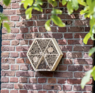 Insectenhotel Suraj Insectenhotel Suraj