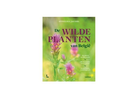 Boek De wilde planten van België Boek De wilde planten van België