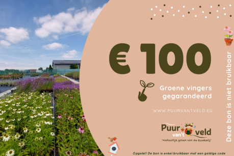 Chèque-cadeau de 100 Euro - numérique Chèque-cadeau de 100 Euro - numérique