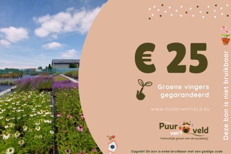 Cadeaubon 25 Euro - digitaal Cadeaubon 25 Euro - digitaal