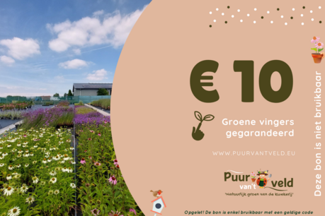 Cadeaubon 10 Euro - digitaal Cadeaubon 10 Euro - digitaal