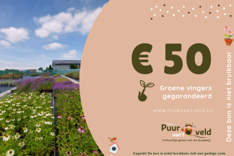 Cadeaubon 50 Euro - digitaal Cadeaubon 50 Euro - digitaal