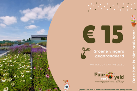 Cadeaubon 15 Euro - digitaal Cadeaubon 15 Euro - digitaal