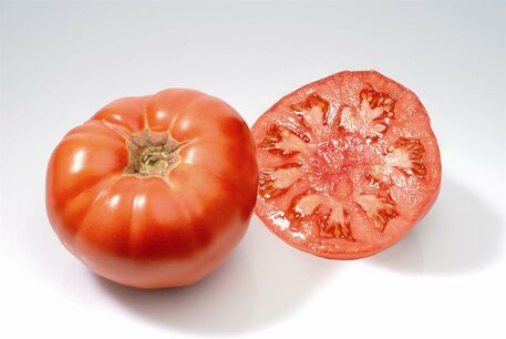 Tomaat Marmande - biologische zaden Tomaat Marmande - biologische zaden