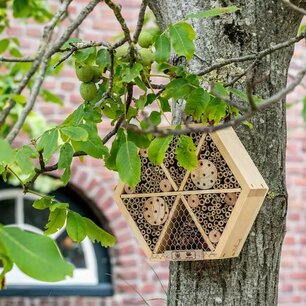 Insectenhotel Suvan Insectenhotel Suvan