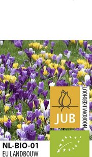 Boerenkrokus Mix - biologische bloembollen Boerenkrokus Mix - biologische bloembollen