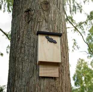 Vleermuizenkast Glamis