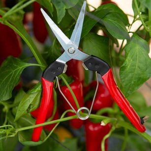 Felco 322 oogst -en snoeischaar 190 mm