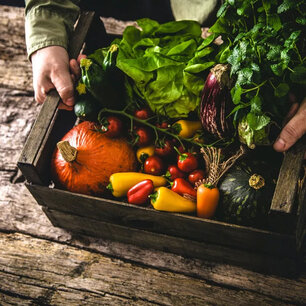 Kit de semences : Le monde des graines paysannes - graines bio