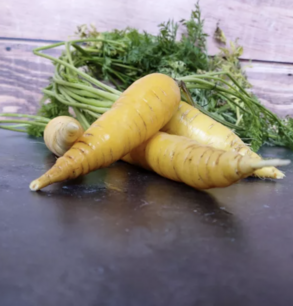 Carotte jaune « Pointe courte du Doubs » - graines bio