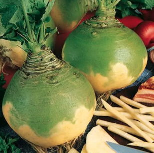 Chou-navet Wilhelmsburger jaune à collet vert - graines bio