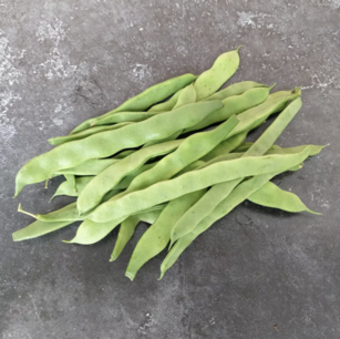 Haricot à rames mangetout plat ‘Helda type Sabre’ - graines bio