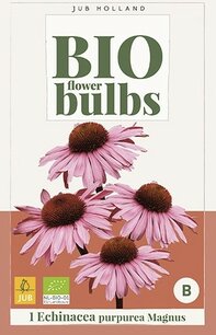 Echinacea purpurea Magnus - biologische bloemknol