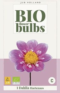 Dahlia Hartenaas - biologische bloembol