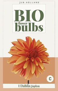Dahlia Japlou - biologische bloembol