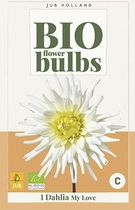 Dahlia My Love - biologische bloembol