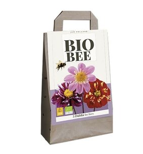 Dahlia bijenpakket - biologische bloembol