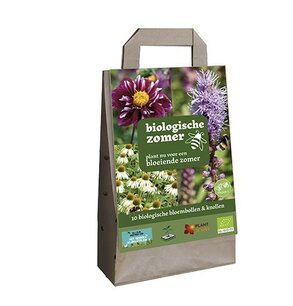 10 Biologische zomer bloeiers pakket - biologische bloembollen