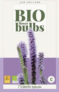 7 Liatris Spicata  - biologische bloembol