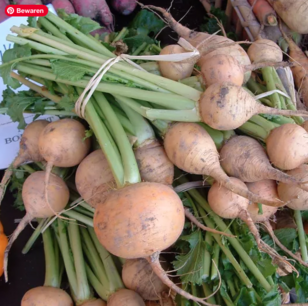 Raap Boule d'or - biologische zaden