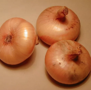 Ajuin Jaune paille des Vertus - biologische zaden