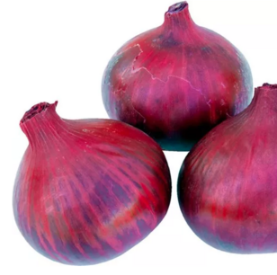 Ajuin Red Baron - biologische zaden