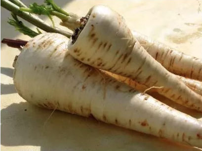 Pastinaak Long Turga - biologische zaden