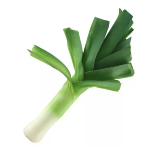 Prei Zomerse Dikke Lange - biologische zaden